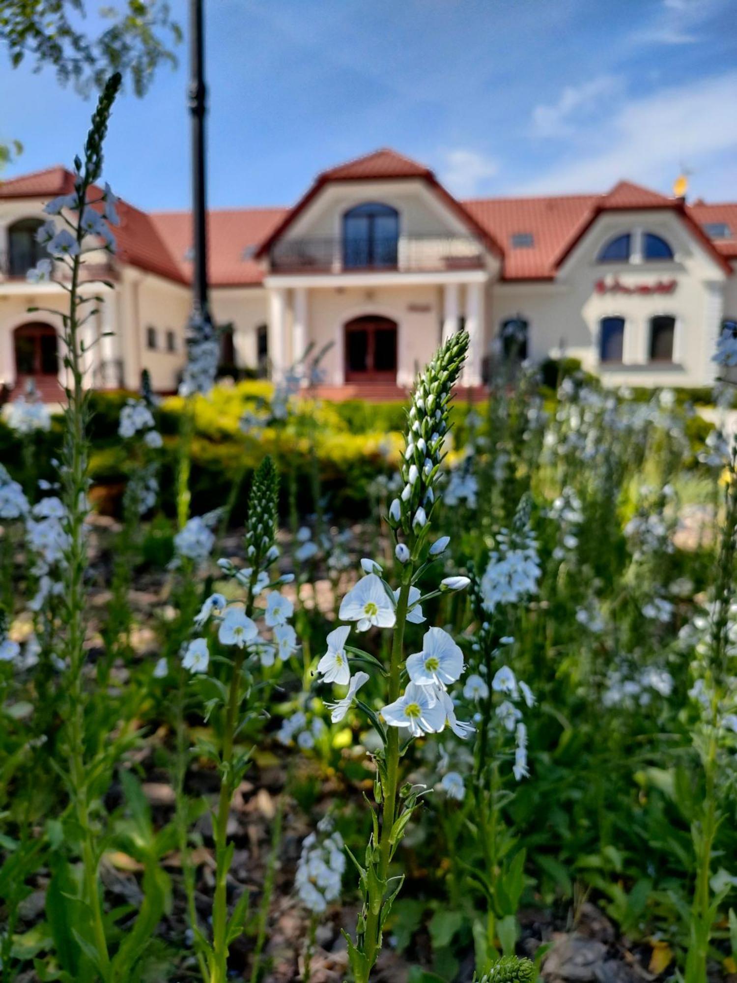 Hotel Viwaldi Baruchowo Экстерьер фото